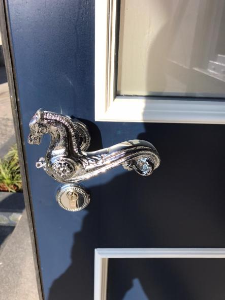 Haustür PaX Detail Türklinke